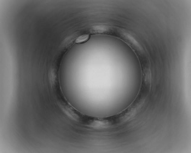 X0000110690455200906121229