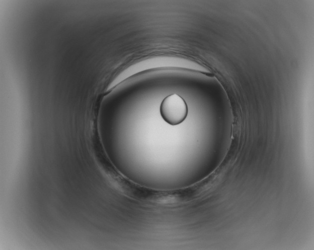 X0000110690456200906121229