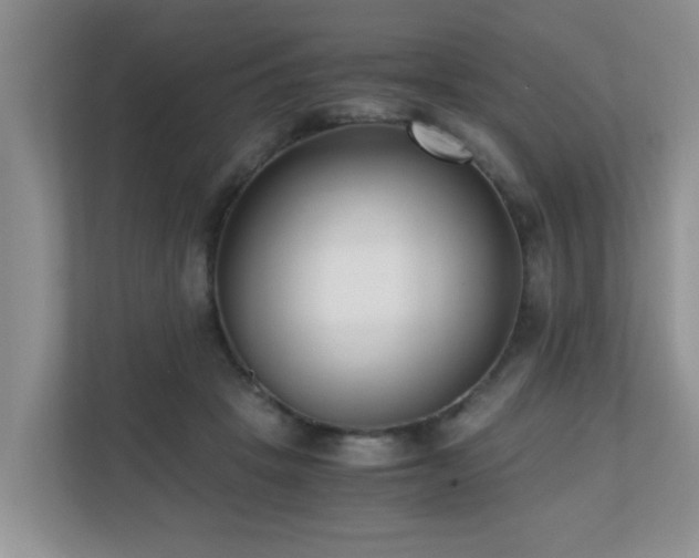 X0000110690457200906121229