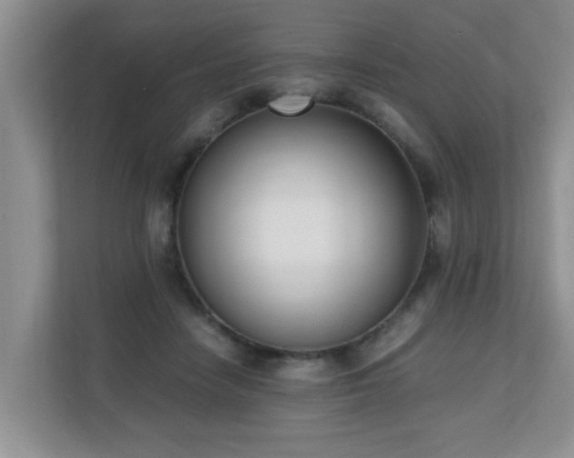 X0000110690458200906121229