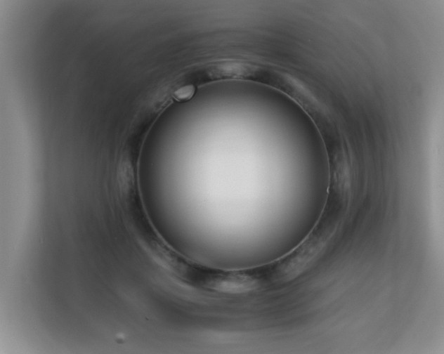 X0000110690459200906121229