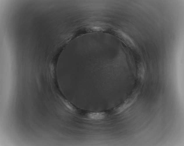 X0000110690465200906121229