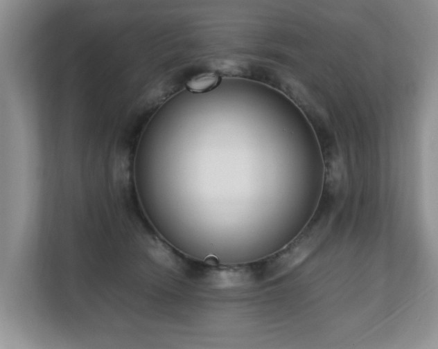 X0000110690466200906121229