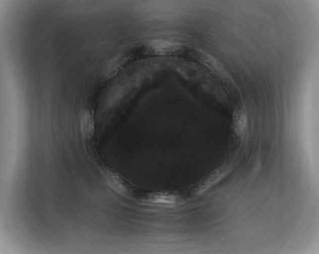 X0000110690471200906121229