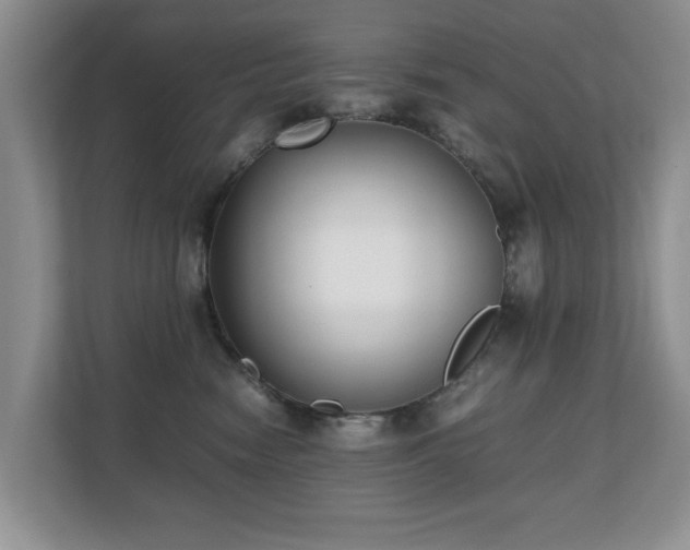 X0000110690474200906121229