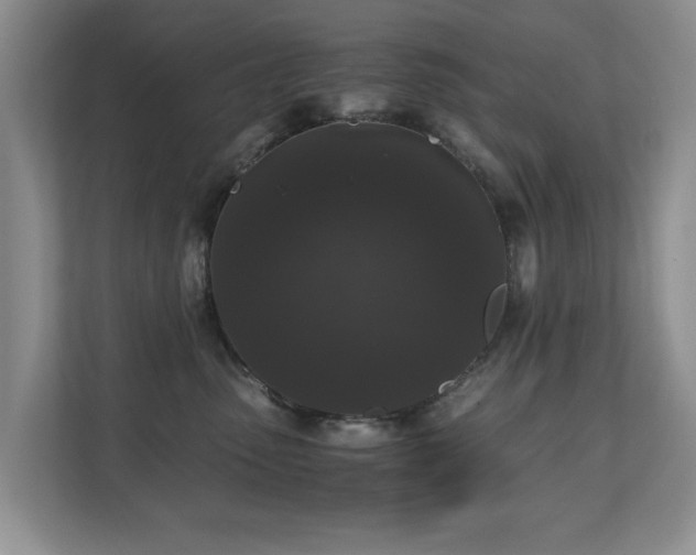 X0000110690475200906121229