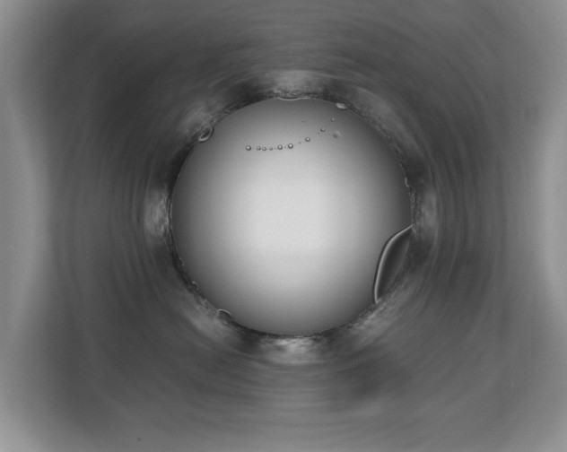 X0000110690478200906121229