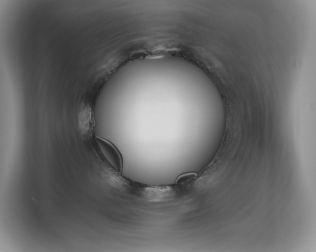 X0000110690480200906121229