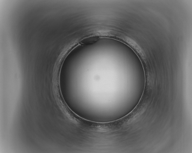 X0000110690481200906121229