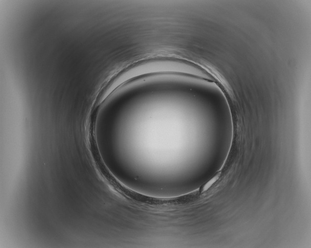 X0000110690485200906121229