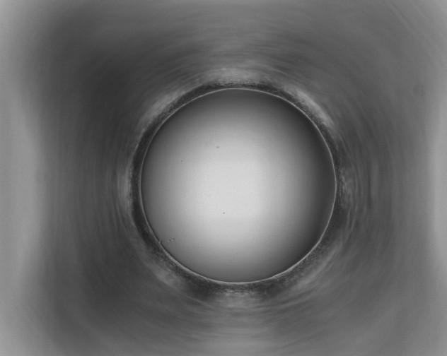 X0000110690487200906121229