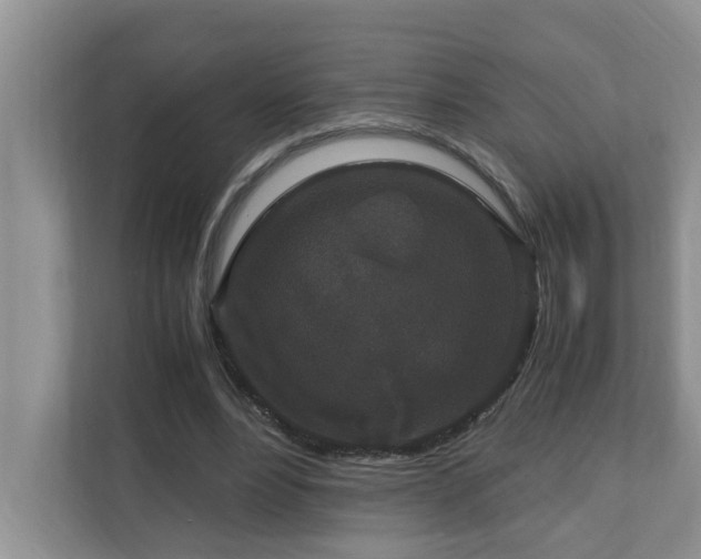 X0000110690488200906121229