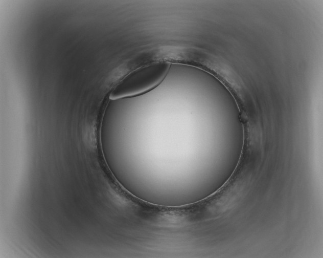 X0000110690489200906121229