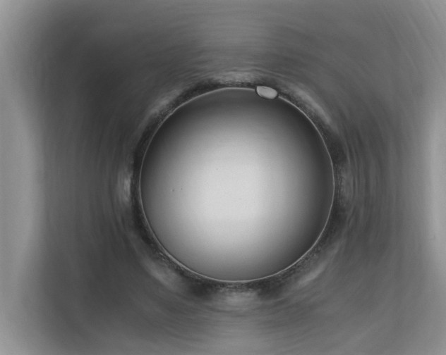 X0000110690491200906121229