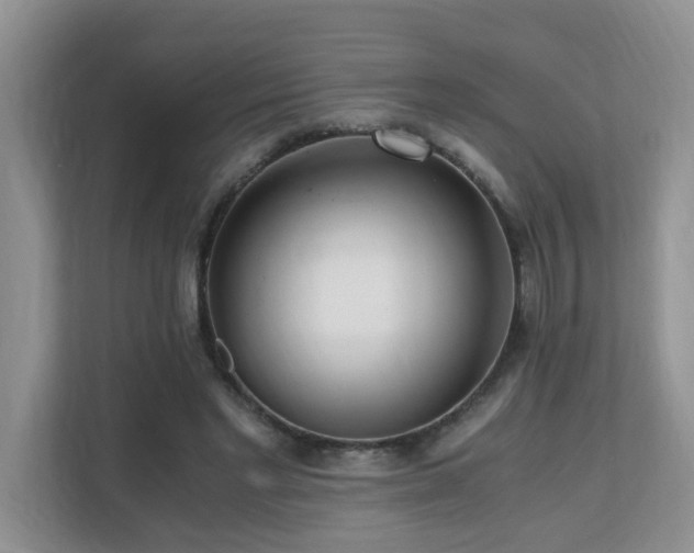 X0000110690493200906121229