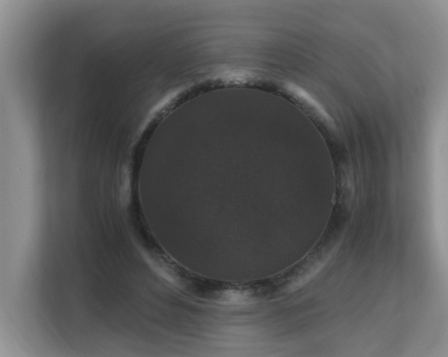 X0000110690496200906121229