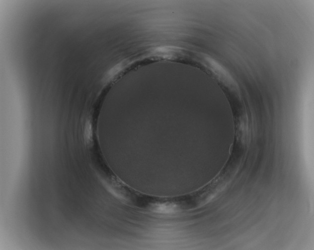 X0000110690500200906121229