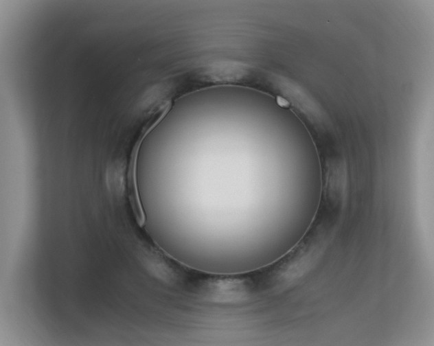 X0000110690501200906121229