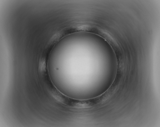 X0000110690502200906121229