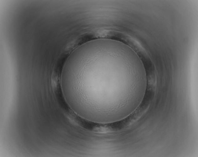 X0000110690503200906121229