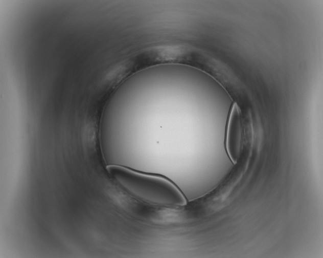 X0000110690505200906121229