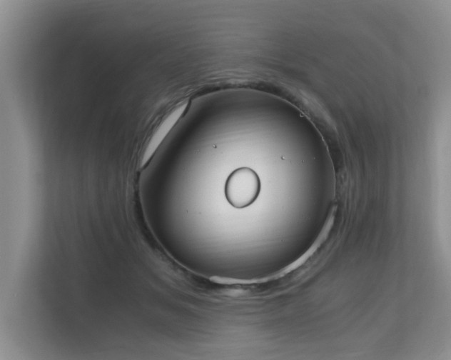 X0000110690509200906121229