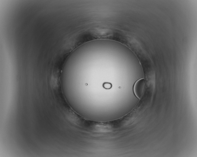 X0000110690515200906121228