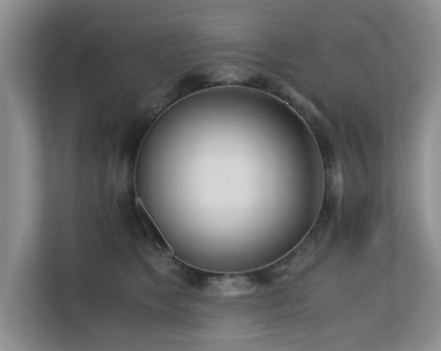 X0000110690517200906121228