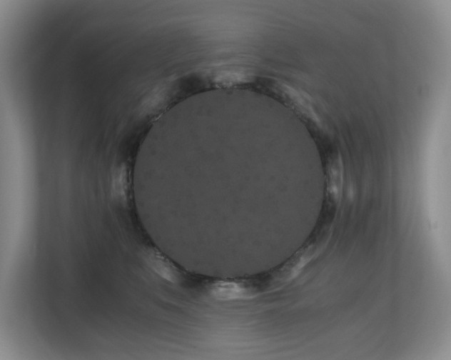 X0000110690519200906121228