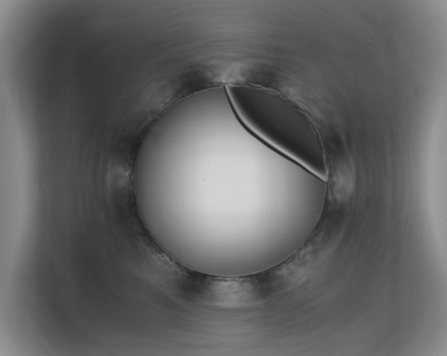 X0000110690521200906121228