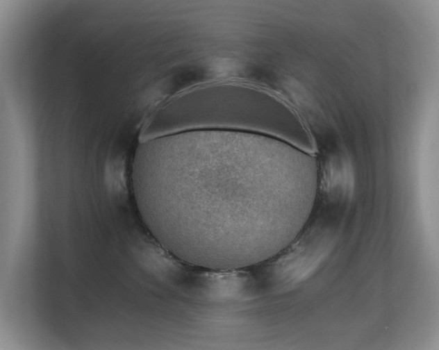 X0000110690524200906121228