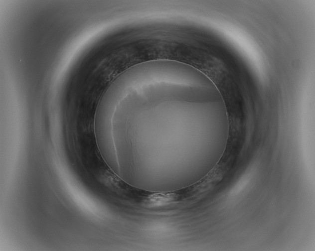 X0000110690526200906121228