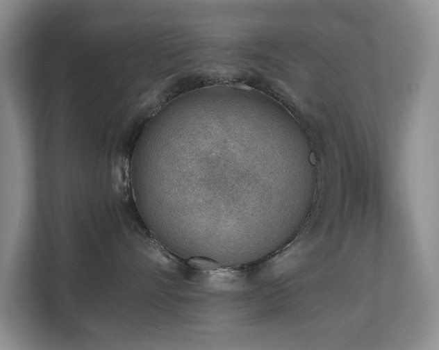 X0000110690528200906121228