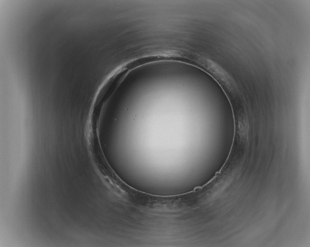 X0000110690532200906121228