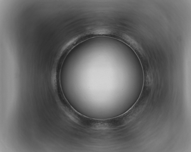 X0000110690535200906121228