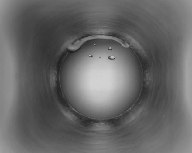 X0000110690544200906121228