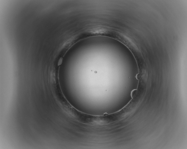 X0000110690547200906121228