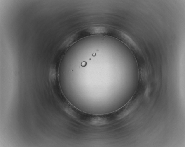 X0000110690549200906121228