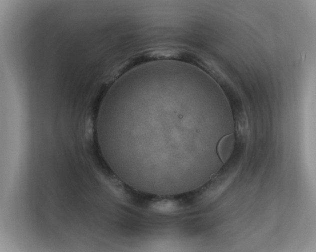 X0000110690551200906121228