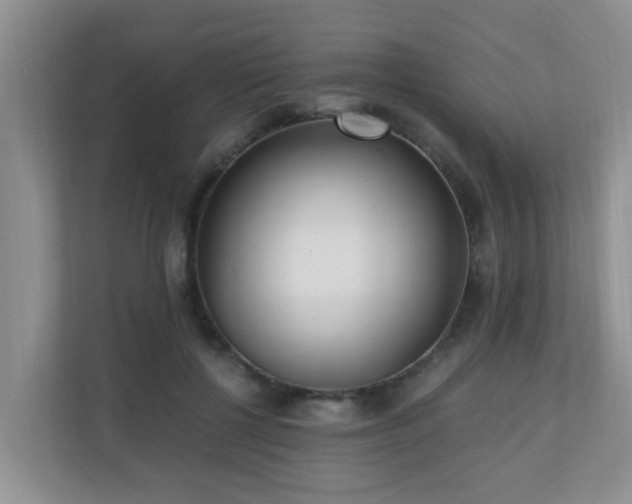 X0000110690552200906121228