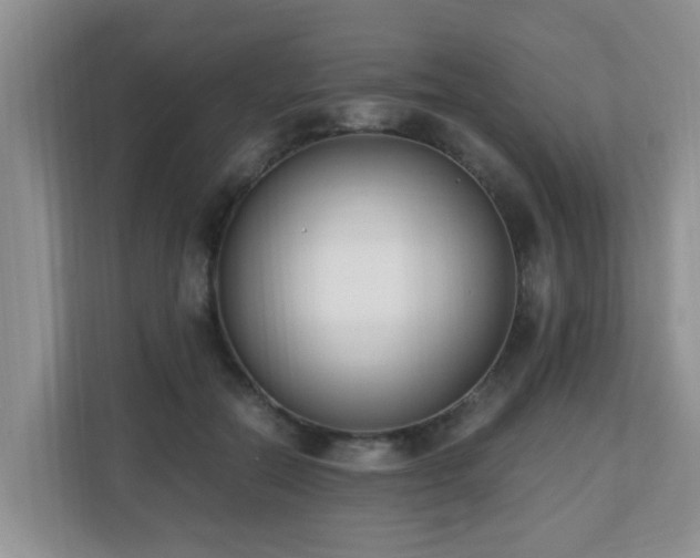 X0000110690554200906121228