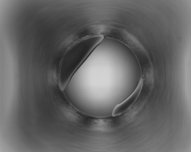 X0000110690558200906121228