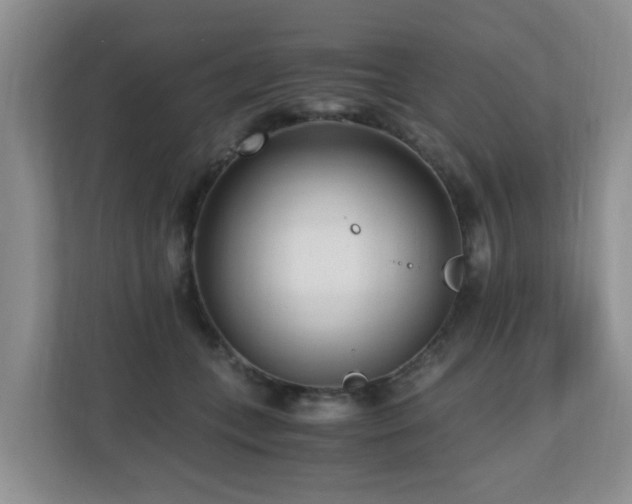 X0000110690559200906121228