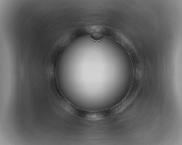 X0000110690561200906121228