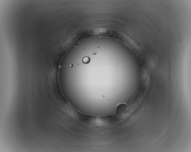 X0000110690565200906121228