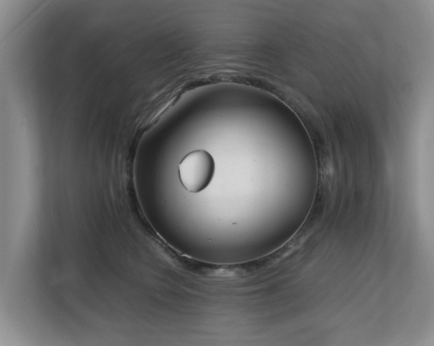 X0000110690566200906121228