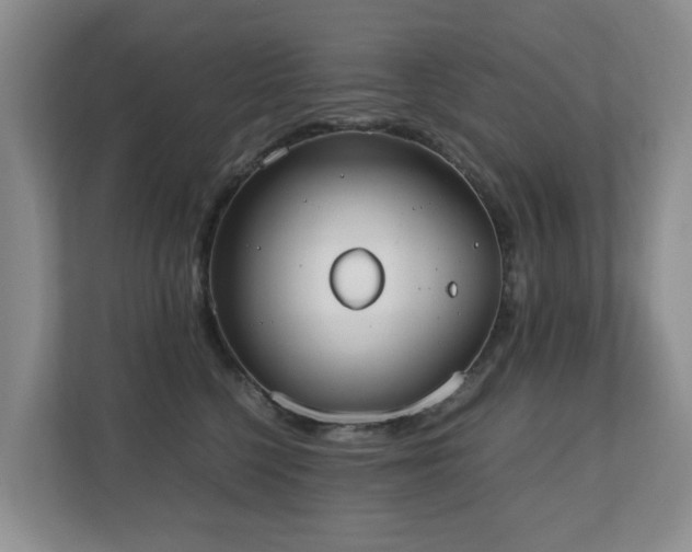 X0000110690568200906121228