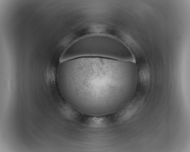 X0000110690570200906121228