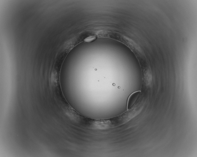 X0000110690571200906121228