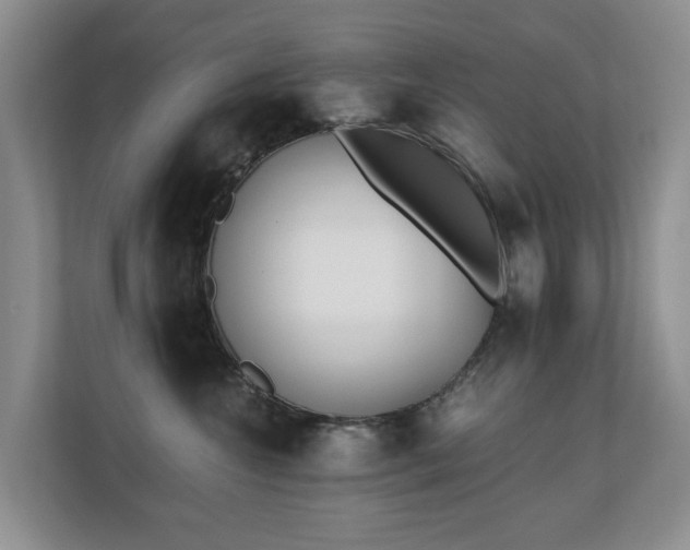 X0000110690572200906121228